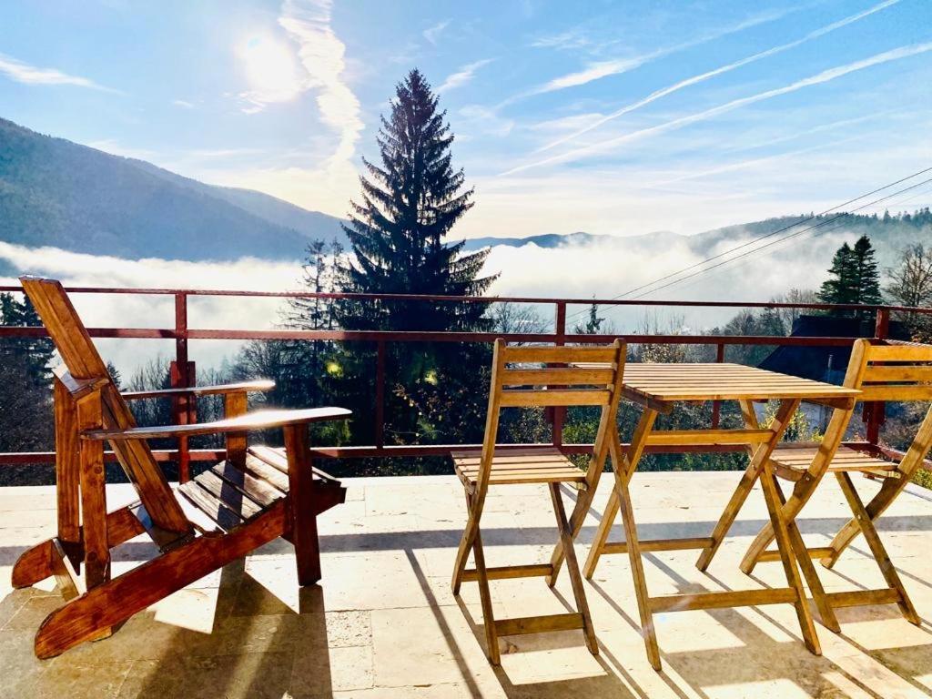 Stone House Sinaia Βίλα Εξωτερικό φωτογραφία