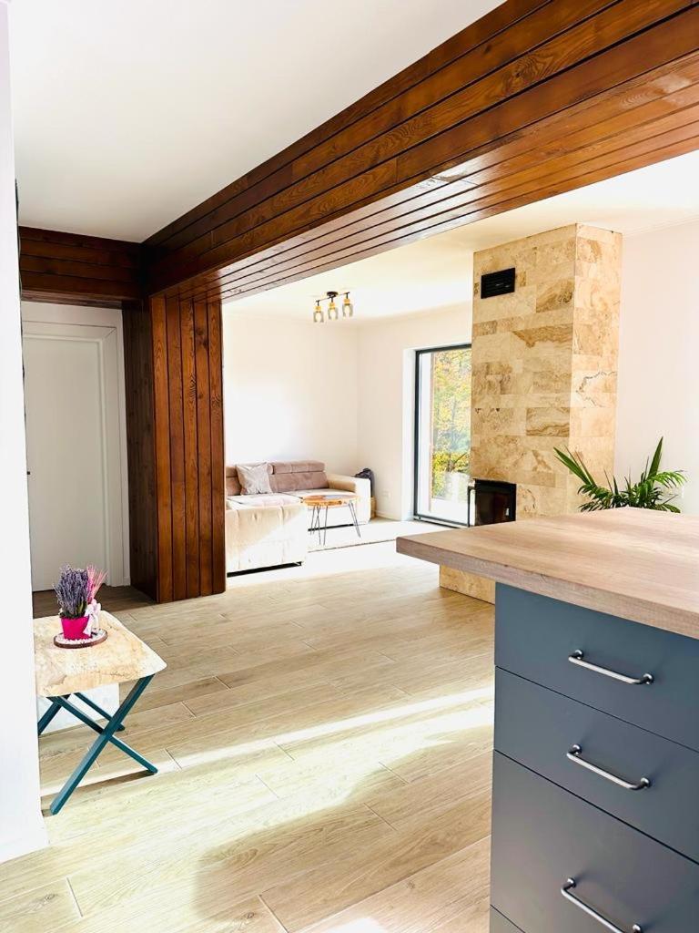 Stone House Sinaia Βίλα Εξωτερικό φωτογραφία