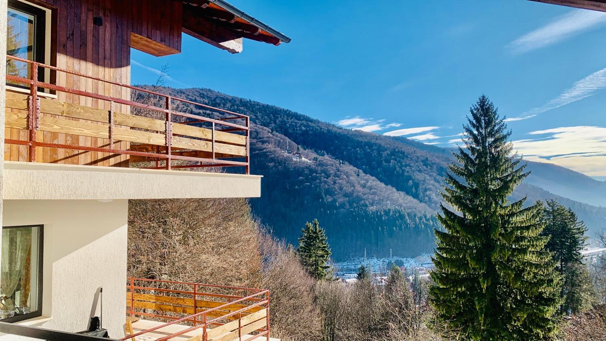 Stone House Sinaia Βίλα Εξωτερικό φωτογραφία