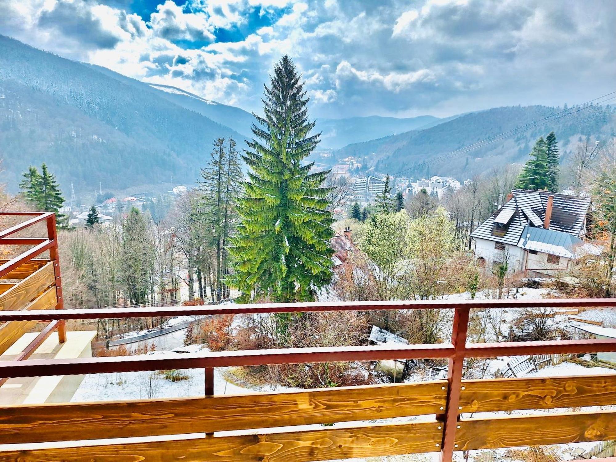Stone House Sinaia Βίλα Εξωτερικό φωτογραφία