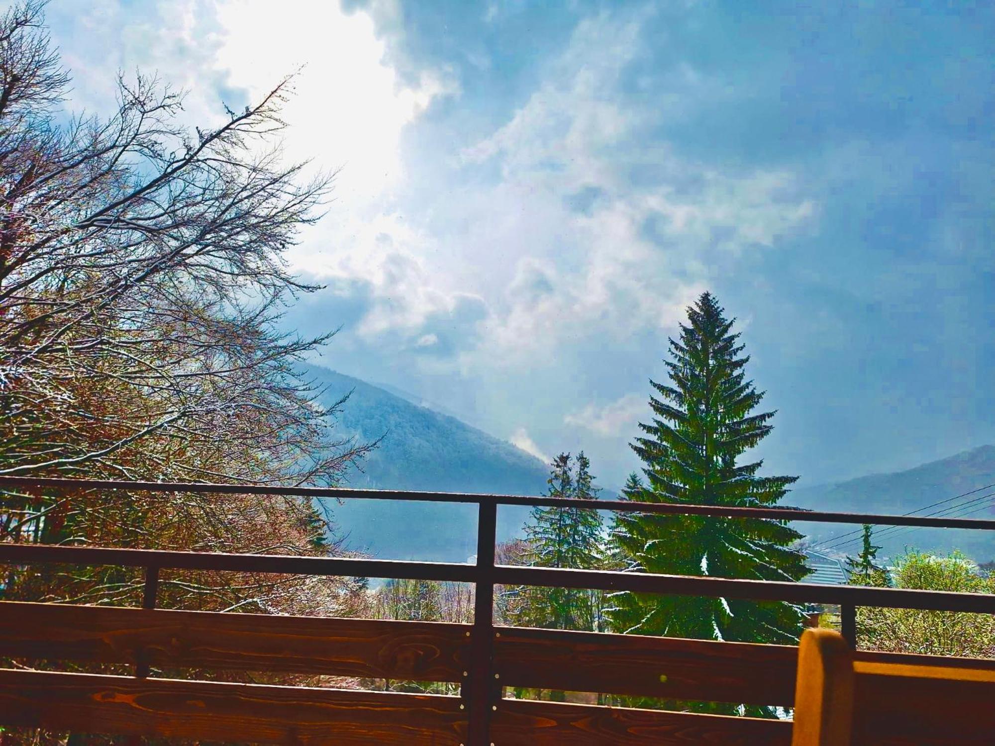 Stone House Sinaia Βίλα Εξωτερικό φωτογραφία