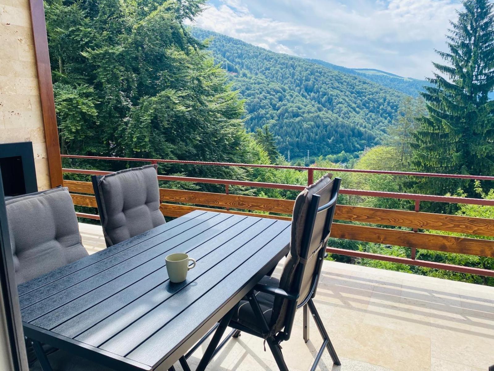 Stone House Sinaia Βίλα Εξωτερικό φωτογραφία