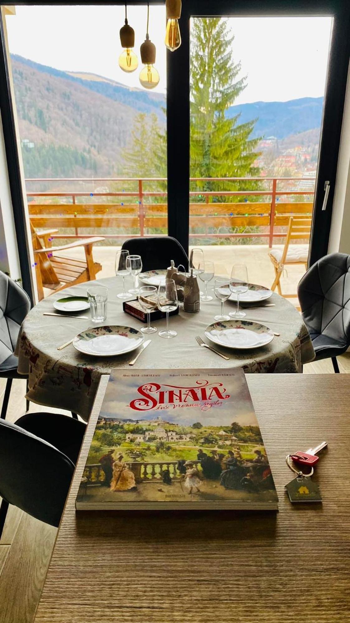 Stone House Sinaia Βίλα Εξωτερικό φωτογραφία