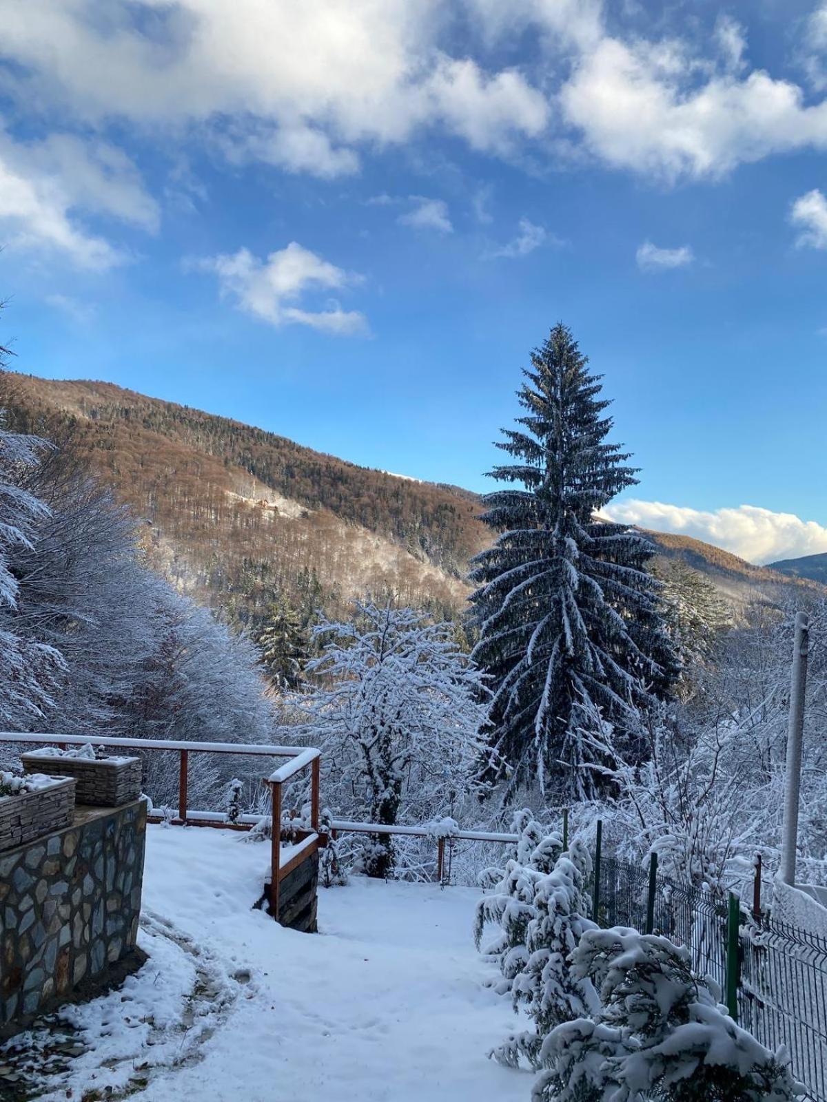 Stone House Sinaia Βίλα Εξωτερικό φωτογραφία