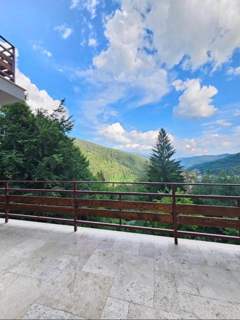 Stone House Sinaia Βίλα Εξωτερικό φωτογραφία