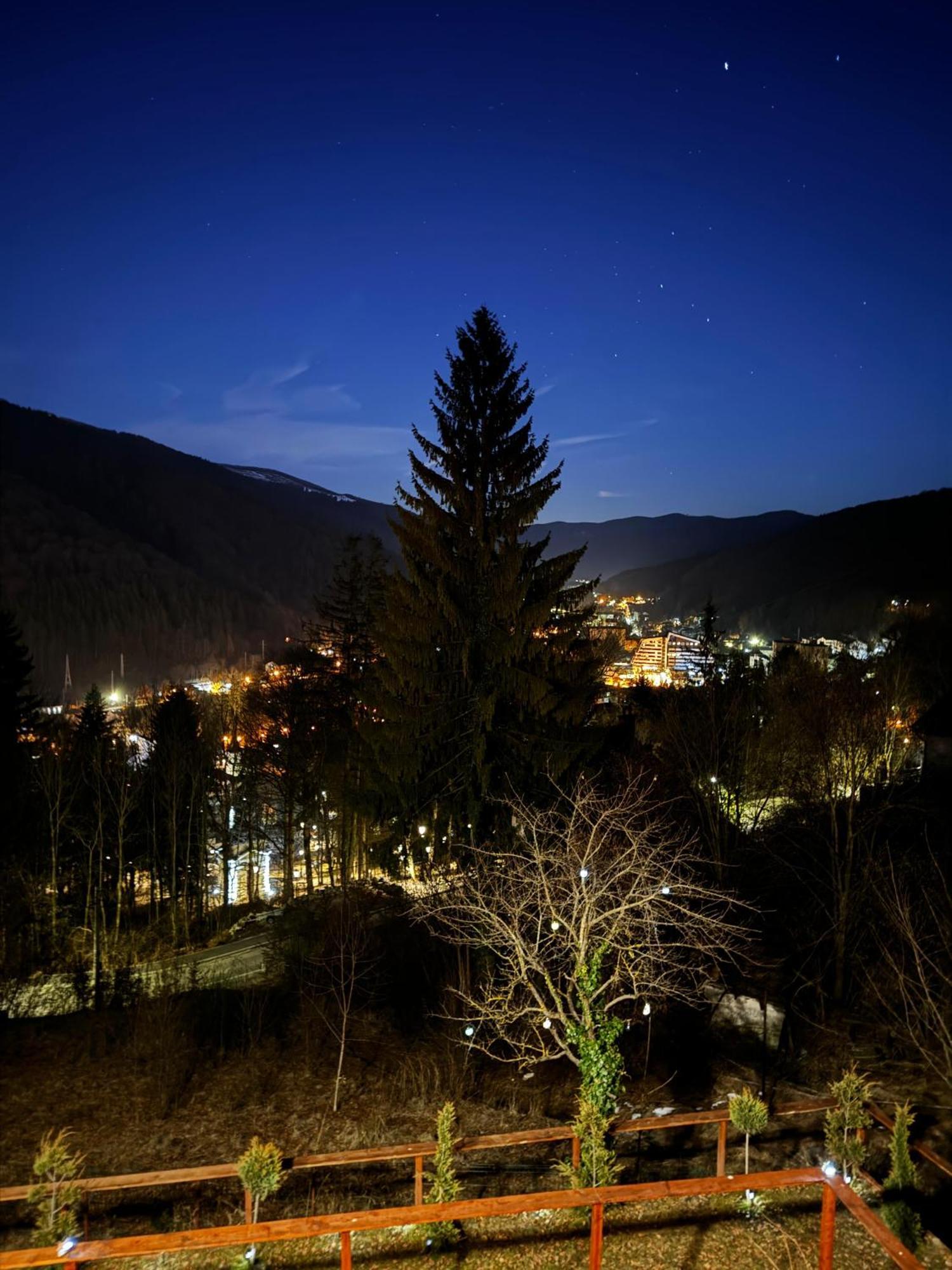 Stone House Sinaia Βίλα Εξωτερικό φωτογραφία